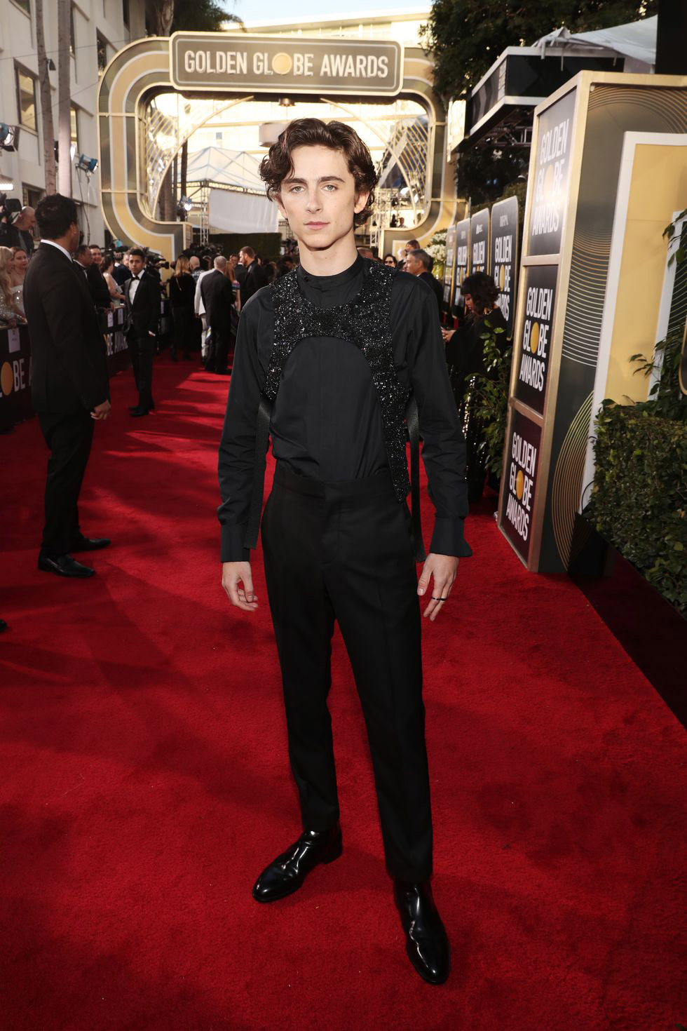 Timothee Chalamet, Golden Globes 2019