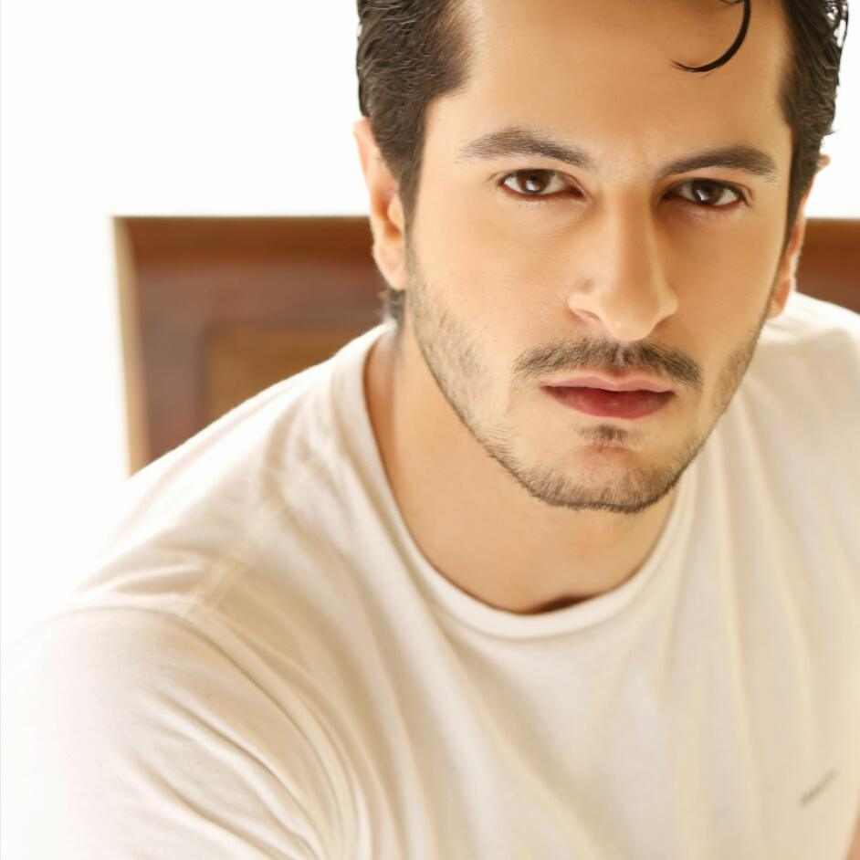 Arsalan Faisal, actors, week, Shehnai, Drama