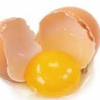 Egg