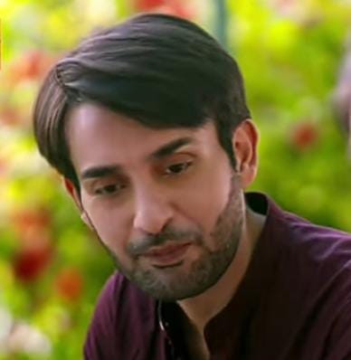 affan waheed, pardes drama