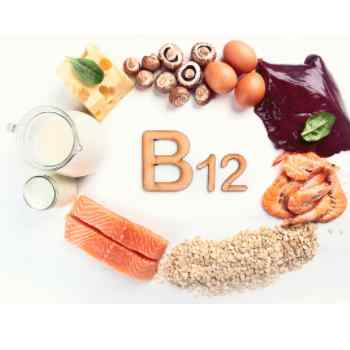 B 12 an important vitamin