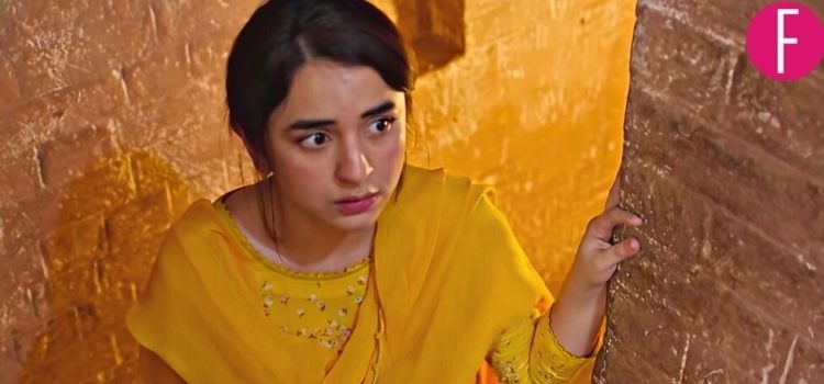 7 Reasons Why Fans Are Tweeting About Yumna Zaidi Right Now!