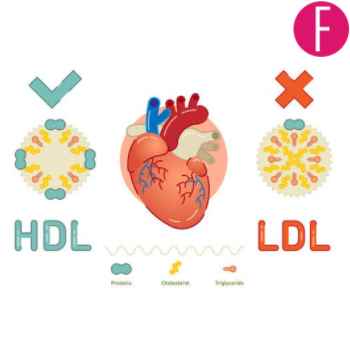 HDL and LDL