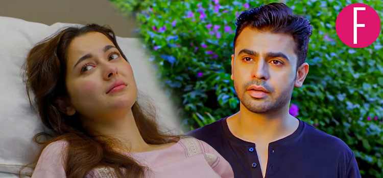 Mere Humsafar