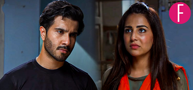 habs, feroze khan, ushna shah