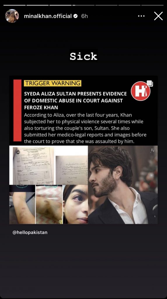 feroze khan case, alizey shah