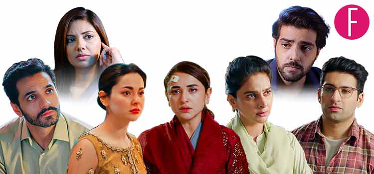 Week In Dramas, Tere Bin, Mujhe Pyar Hua Tha, Pinjra, 