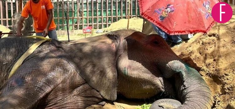 Karachi Zoo