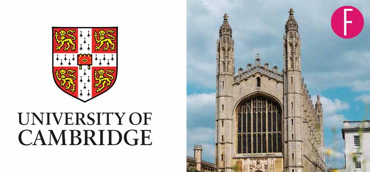 Pakistani Students, Cambridge Results